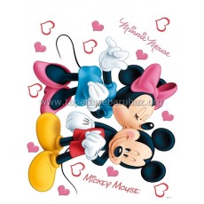 AG Design Mickey és Minnie DK 882