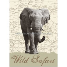 431 Wild Safari