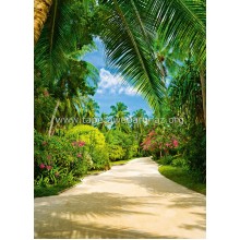 438 Tropical Pathway